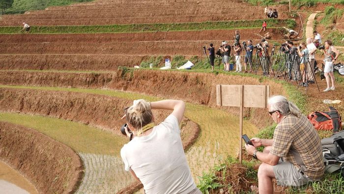 Mỗi mùa nước đổ, ruộng bậc thang vùng cao trở thành điểm đến hấp dẫn đối với du khách và những người yêu nhiếp ảnh.