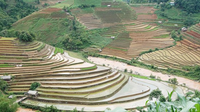 Ruộng bậc thang không chỉ tạo cảnh quan du lịch đặc sắc, mà còn gắn bó mật thiết với sinh kế và tập quán canh tác của đồng bào vùng cao.