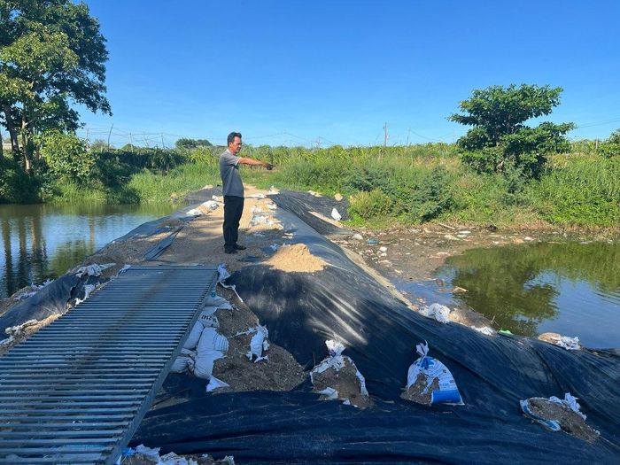Mùa mưa đến, nước lũ về, cuốn cản được đắp tạm bợ như trên ra biển