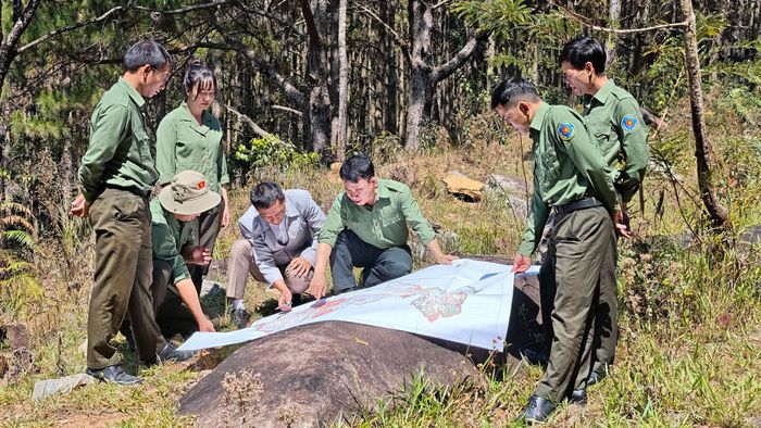 Lực lượng quản lý, bảo vệ rừng khoanh vùng các khu vực trọng điểm