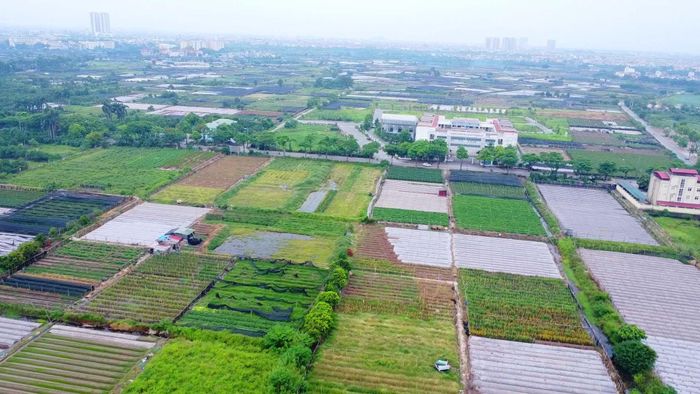 Khu vực kết nối cầu Thượng Cát với đường Kỳ Vũ chủ yếu là đất nông nghiệp.