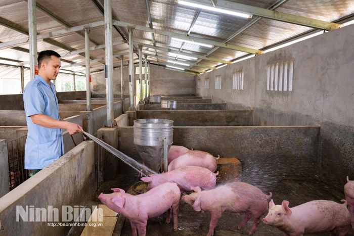 Chiến sĩ tích cực tăng gia sản xuất mang lại nguồn thực phẩm sạch, ổn định cho đơn vị.