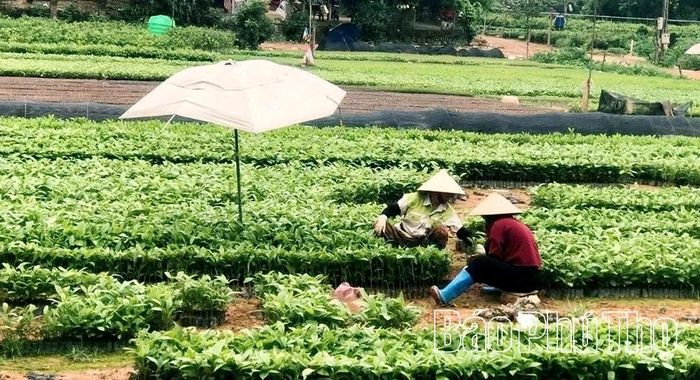 Hoàn thiện hệ thống hồ sơ, bản đồ và danh mục đất công ích hằng năm là nền tảng để Quảng Yên sử dụng hiệu quả nguồn lực đất đai.