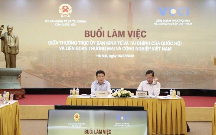 PGS, TS Hồ Sỹ Hùng - Chủ tịch VCCI (bên trái) phát biểu tại sự kiện. Ảnh: CTV