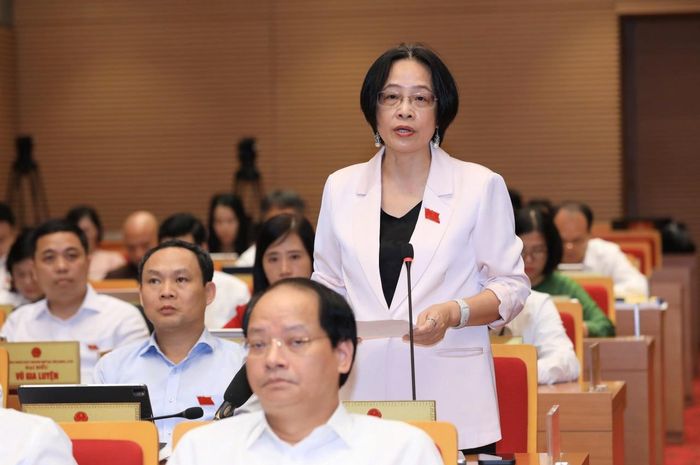 Các đại biểu nêu ý kiến tại kỳ họp. Ảnh: Lê Hải