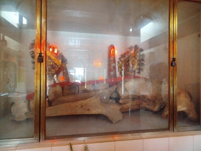 Bộ cốt Cá Ông được lưu giữ và thờ phụng trang trọng tại Phước Hải Cổ Miếu, gắn với tín ngưỡng tôn kính cá voi của cư dân vùng biển Nam Bộ. Ảnh: Đức Linh.