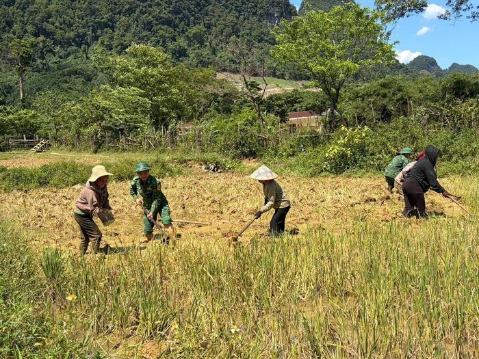 Cán bộ chiến sĩ Đồn Biên phòng Cà Xèng cùng nhân dân chỉnh trang bờ thửa