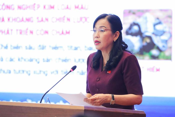 Chủ nhiệm Ủy ban Khoa học, Công nghệ và Môi trường Nguyễn Thanh Hải phát biểu