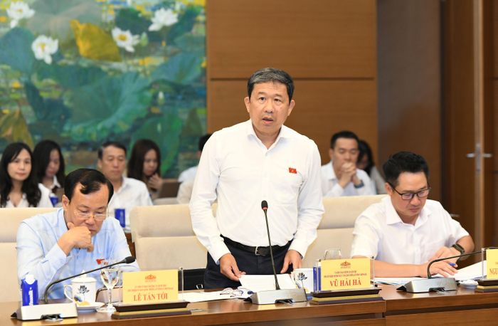 Phó Chủ nhiệm Thường trực Ủy ban Quốc phòng, An ninh và Đối ngoại Vũ Hải Hà phát biểu tại cuộc làm việc
