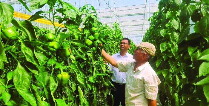 Lâm Đồng - một trong những trung tâm sản xuất nông nghiệp công nghệ cao hàng đầu cả nước