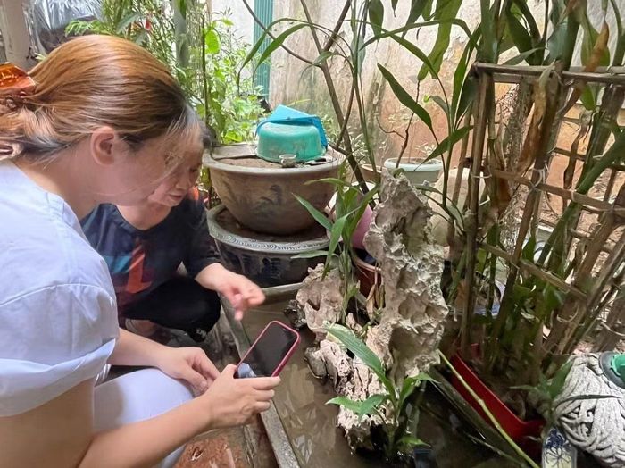 Diệt bọ gậy/loăng quăng ngay tại nơi mình sinh sống để phòng, chống sốt xuất huyết.