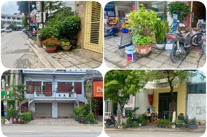 Chậu cây cảnh lấn chiếm vỉa hè khiến người đi bộ phải đi xuống lòng đường, tiềm ẩn nguy hiểm tai nạn giao thông.