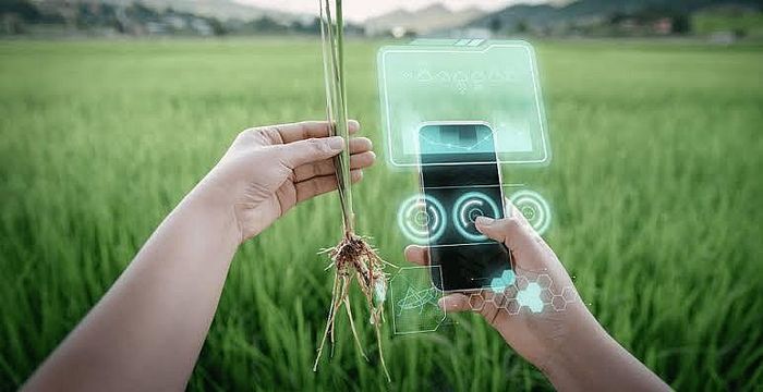 Các nhà khoa học cũng lưu ý rằng bằng chứng hiện có chưa đủ để khẳng định công nghệ này là giải pháp toàn diện cho mọi thách thức nông nghiệp.