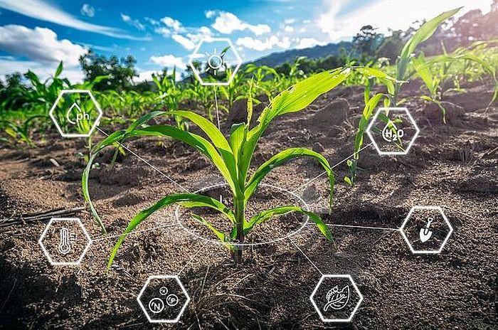 Ngành công nghệ nông nghiệp đã liên tục đánh giá quá cao tốc độ ứng dụng các công nghệ nông nghiệp chính xác