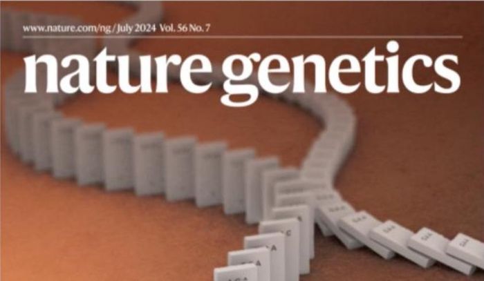 Theo nghiên cứu được công bố trên tạp chí Nature Genetics, mô đun gene mới giúp cải thiện quá trình vận chuyển nitrat trong cây, từ đó đồng thời nâng cao năng suất hạt và hiệu quả sử dụng nitơ