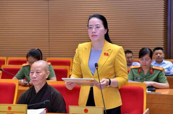 Đại biểu Phạm Hải Hoa , Phó Chủ tịch Ủy ban MTTQ Việt Nam thành phố, Chủ tịch Hội Nông dân thành phố Hà Nội phát biểu. Ảnh: Thành Thái