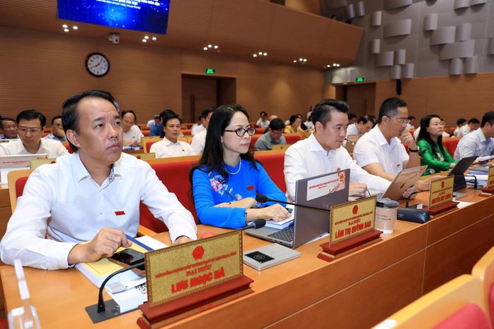 Đại biểu tham dự phiên làm việc sáng 15-6. Ảnh: Thành Thái