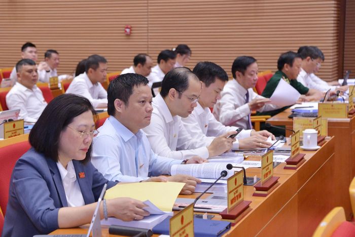 Đại biểu tham dự phiên làm việc sáng 15-6. Ảnh: Thành Thái