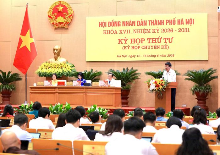 Quang cảnh phiên họp sáng 15-6. Ảnh: Thành Thái