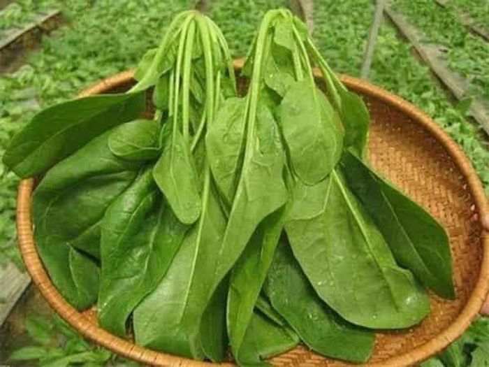 Các loại rau củ quả mà người viêm cân gan chân nên ăn bao gồm: Cải bó xôi (rau chân vịt), cải xoăn...
