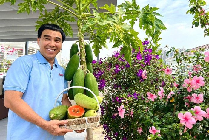 Trên sân thượng và khu vườn quanh biệt thự của vợ chồng Quyền Linh trồng nhiều loại rau quả như đu đủ, cóc, mướp, ớt, rau thơm, chanh, cà chua... Nhờ chăm chỉ vun trồng, gia đình nam MC có rau sạch ăn quanh năm.