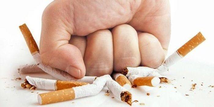 Sử dụng thuốc lá được cho là liên quan mật thiết tới bệnh tật của hầu hết các cơ quan trong cơ thể, làm suy giảm sức khỏe và gây hại cho thai nhi.