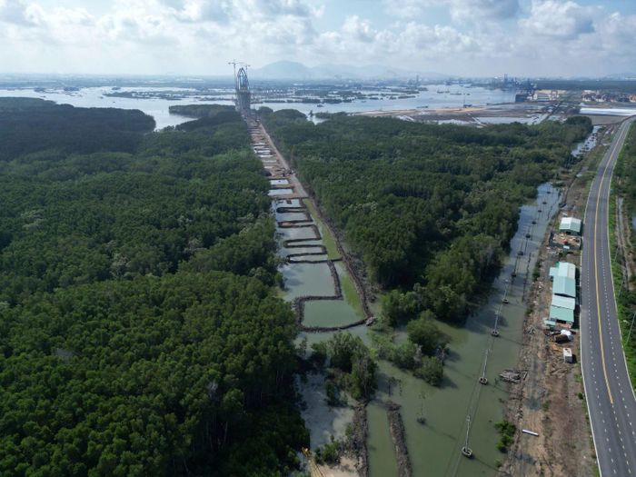 Khi đưa vào khai thác, cây cầu được kỳ vọng rút ngắn khoảng 30km hành trình từ các tỉnh miền Tây đến khu vực cảng Cái Mép - Thị Vải, góp phần giảm tải các tuyến giao thông hiện hữu, nâng cao khả năng vận chuyển của vùng kinh tế trọng điểm phía Nam.