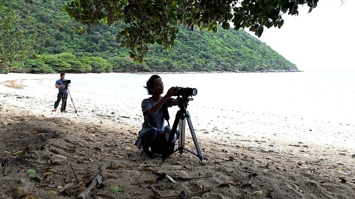  "Vietnam Wild Live" mang đến trải nghiệm theo dõi thiên nhiên theo thời gian thực. Ảnh: BTC