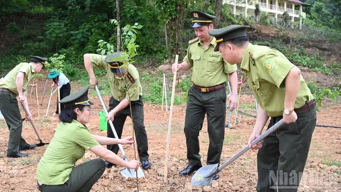 Trồng cây hưởng ứng Ngày Thế giới chống sa mạc hóa và hạn hán năm 2026.