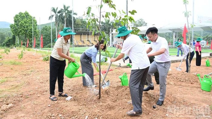 Cây giống sẽ được hỗ trợ cho các địa phương trên cả nước, ưu tiên khu vực rừng ngập mặn, đất trống quy hoạch lâm nghiệp, vườn quốc gia và các vùng có tiềm năng phát triển cây xanh phân tán.