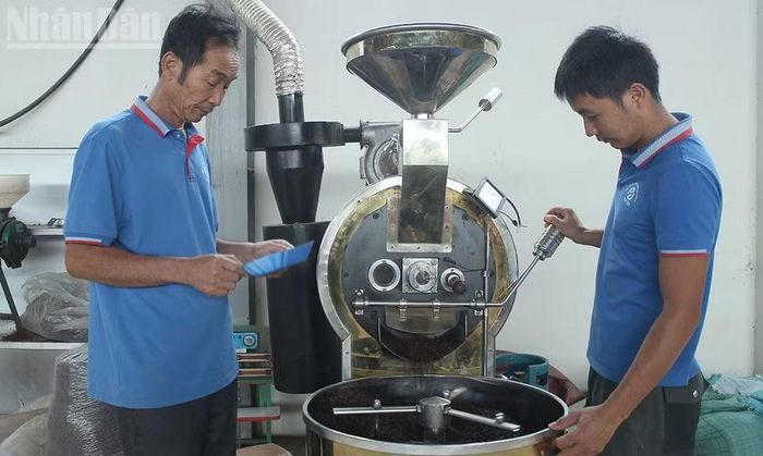 Hợp tác xã cà-phê Bích Thao không chỉ sản xuất nông sản, mà còn tổ chức lại quy trình theo chuỗi khép kín, có kiểm soát, gắn sản xuất với bảo vệ môi trường và yêu cầu của thị trường chất lượng cao.