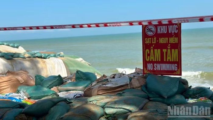 Bờ biển Hội An sạt lở mạnh vào tháng 11/2025.