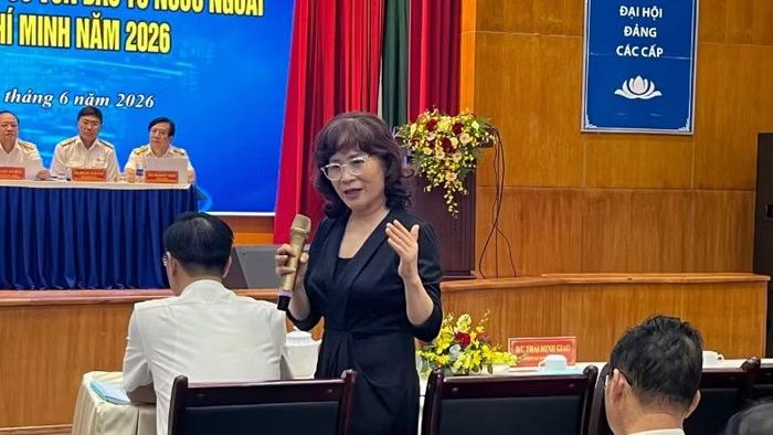 Bà Hương Vũ, Phó Chủ tịch Hiệp hội Doanh nghiệp đầu tư nước ngoài.
