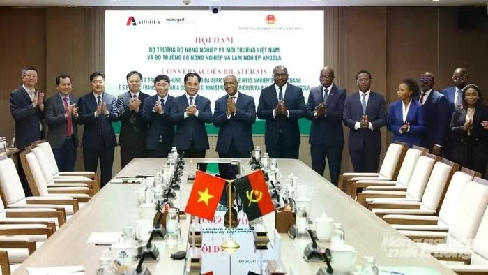 Cuộc hội đàm diễn ra trong không khí thân thiện, cởi mở và hiệu quả. Hai bên thể hiện quyết tâm tăng cường quan hệ hợp tác, đặc biệt trong lĩnh vực nông nghiệp - ngành có ý nghĩa quan trọng đối với sự phát triển kinh tế-xã hội của cả Việt Nam và Angola. (Ảnh: KHƯƠNG TRUNG)