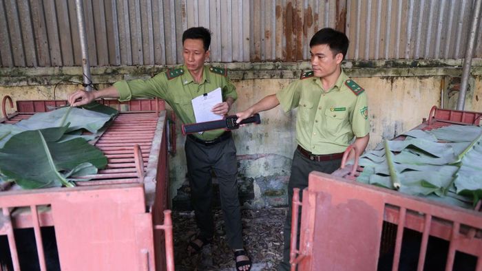 Hạt Kiểm lâm số 7 (Chi cục Kiểm lâm Hà Nội) hỗ trợ người dân chuyển giao gấu. (Ảnh: Tổ chức Động vật châu Á).