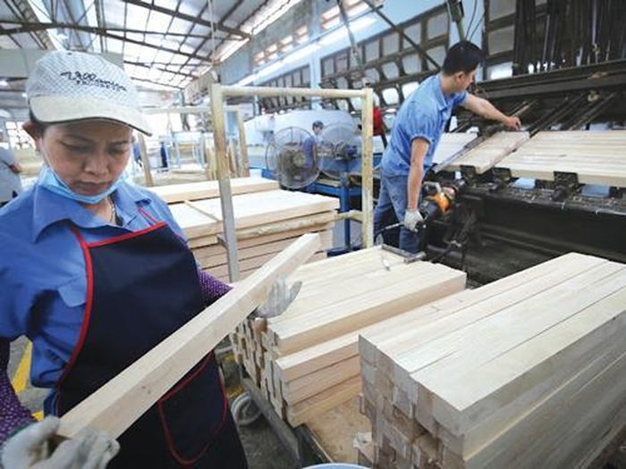 Doanh nghiệp gỗ sẽ hoàn thành mục tiêu xuất khẩu khoảng 19 tỉ USD trong năm 2026