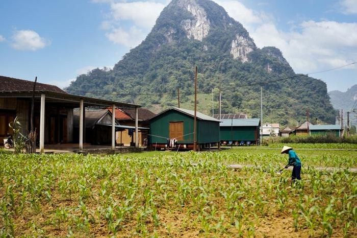 Các hoạt động trải nghiệm du lịch cộng đồng tại xã Kim Phú ngày càng thu hút đông đảo du khách trong và ngoài nước.