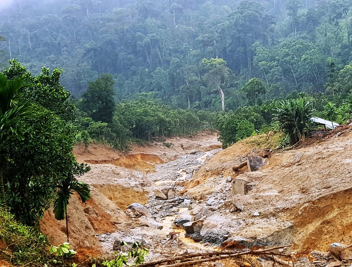 Ảnh minh họa: moitruong.net.vn