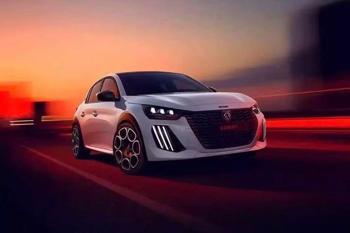 Hiện Peugeot đã bắt đầu nhận cọc cho 208 GTi ở thị trường châu Âu. Tại Pháp, xe có giá khởi điểm từ 42.900 Euro (khoảng 49.646 USD), đã bao gồm thuế. Mức giá này thấp hơn đối thủ Abarth 600 vốn có giá khởi điểm 46.900 Euro (54.280 USD).