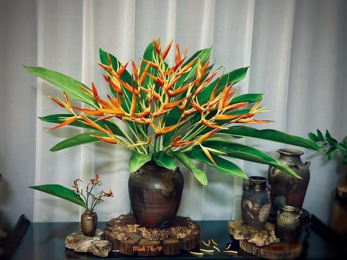 Cây thiên điểu gây ấn tượng mạnh bởi chiều cao nổi bật và hệ lá dạng quạt xòe rộng. (Ảnh minh họa)