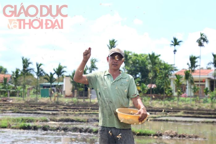 Những giọt mồ hôi rơi theo hạt lúa giống mang theo khát vọng mùa vàng bội thu của nông dân Đắk Lắk.