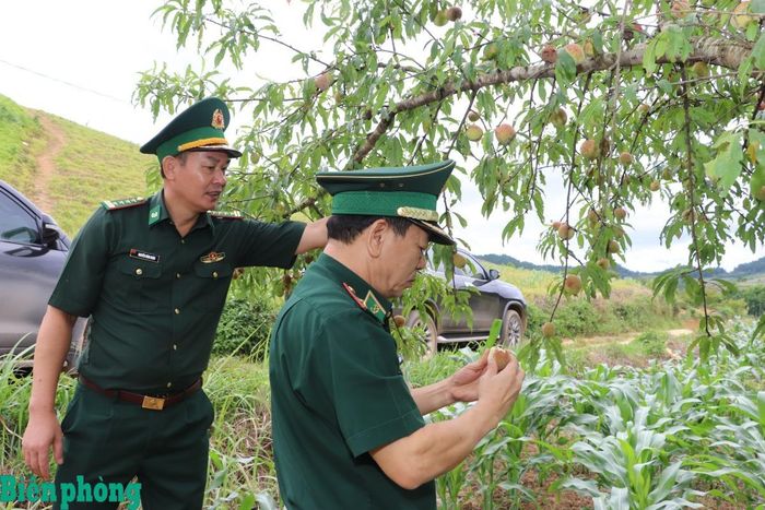 Thiếu tướng Nguyễn Văn Thiện kiểm tra các mô hình giúp dân phát triển kinh tế của đơn vị. Ảnh: Dân Chủ