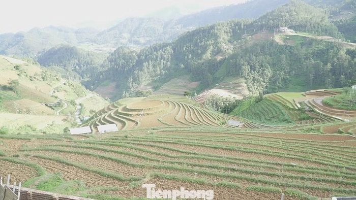 Nhiều thửa ruộng chưa thể cấy lúa do chưa có nước.