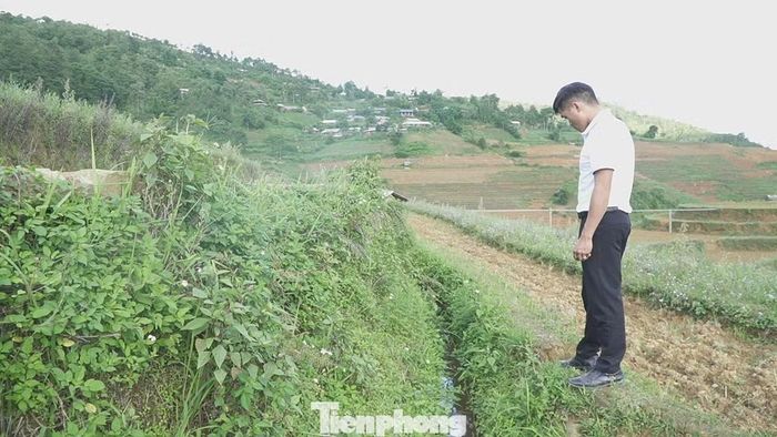 Hệ thống kênh mương thủy lợi xuống cấp là một phần nguyên nhân khiến nhiều ha lúa khô hạn.