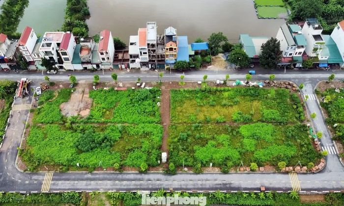 Nhiều khu đất đấu giá vùng ven Hà Nội rơi vào cảnh bỏ hoang. Trong ảnh: Khu đất đấu giá tại Ngõ Ba, thôn Thanh Thần, xã Thanh Cao (nay là xã Bình Minh) để "trồng cỏ" sau 2 năm đấu giá, không có người xây nhà về ở.