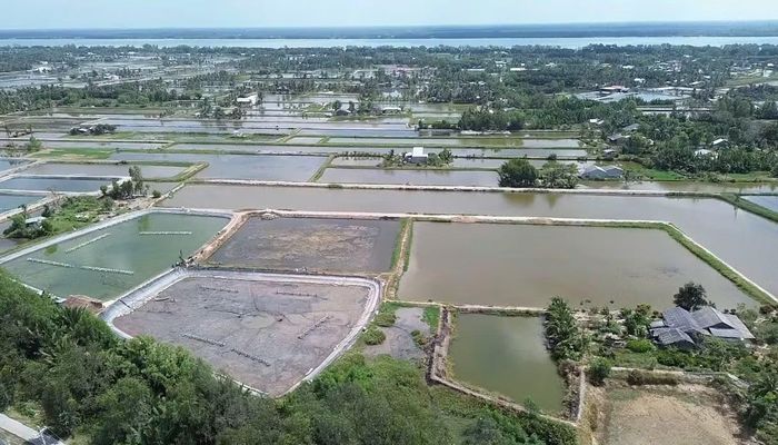 Năng suất, sản lượng nuôi trồng thủy sản tăng trưởng ổn định.