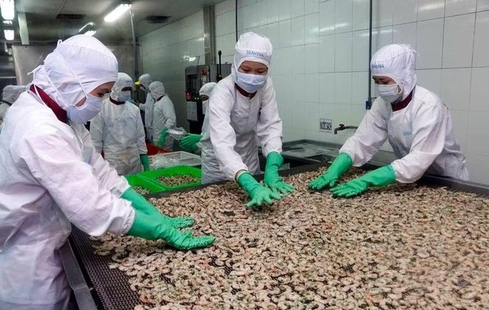 Chế biến tôm xuất khẩu. Ảnh: BCT.