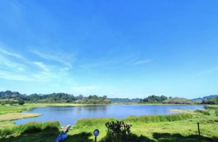 Đồng Nai sẽ có cơ hội phát triển du lịch sinh thái và bảo tồn VQG Cát Tiên tốt hơn (ảnh: VQG Cát Tiên).