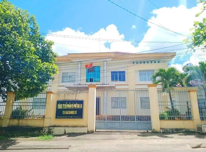 Công ty cổ phần cà phê Gia Lai.