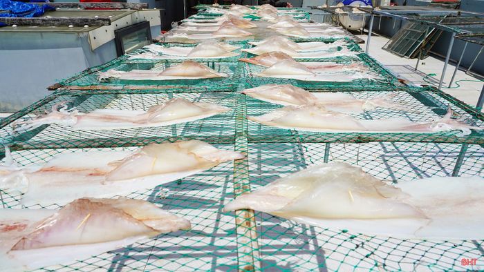 Công việc lặp đi lặp lại nhưng mỗi lần nhìn những mẻ mực một nắng đạt chất lượng, tôi lại thấy mọi vất vả đều xứng đáng.